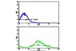 Flow cytometric analysis of NCI-H292 cells using FZD1 polyclonal antibody (bottom histogram) compared to a negative control cell (top histogram).