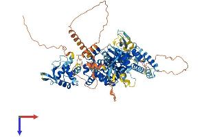 GFR Protein (AA 1-814) (His tag)