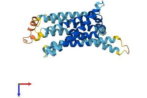AlphaFold protein structure predicition of Mouse Recombinant Tas2r116 Protein, UniprotID Q7M713 (TAS2R116 Protein (AA 1-305) (His tag))