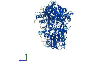 Protein Structure (PS) image for Eukaryotic Translation Initiation Factor 2C, 4 (EIF2C4) (AA 1-861) protein (His tag) (ABIN7551990)