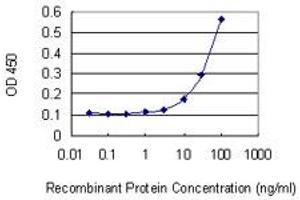Detection limit for recombinant GST tagged ELK4 is 3 ng/ml as a capture antibody. (ELK4 antibody  (AA 118-206))