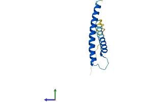 Protein Structure (PS) image for Translocase of Inner Mitochondrial Membrane 13 Homolog (TIMM13) (AA 1-95) protein (His tag) (ABIN7544380)
