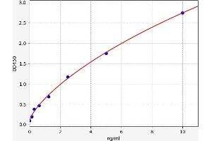 CRABP2 ELISA Kit