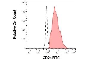 Flow Cytometry (FACS) image for anti-CD24 Molecule (CD24) antibody (FITC) (ABIN192413)
