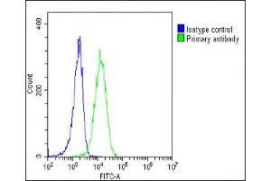 Overlay histogram showing K562 cells stained with C(green line). (EPOR antibody  (C-Term))