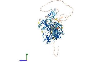 Protein Structure (PS) image for Ubiquitin Specific Peptidase 4 (USP4) (AA 1-963) protein (His tag) (ABIN7555925)
