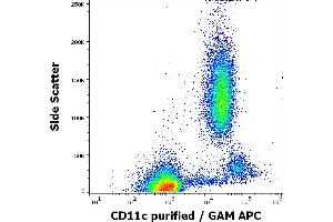 Flow cytometry surface staining pattern of human peripheral whole blood stained using anti-human CD11c (BU15) purified antibody (concentration in sample 2 μg/mL, GAM APC). (CD11c antibody)