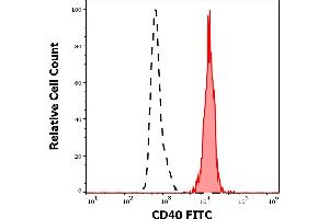 Separation of human CD40 positive lymphocytes (red-filled) from neutrophil granulocytes (black-dashed) in flow cytometry analysis (surface staining) of human peripheral whole blood stained using anti-human CD40 (HI40a) FITC antibody (20 μL reagent / 100 μL of peripheral whole blood). (CD40 antibody  (FITC))