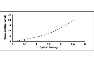 Typical standard curve (Galectin 10 ELISA Kit)