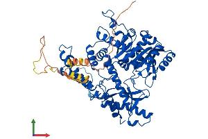 AlphaFold protein structure predicition of Human Recombinant GAD2 Protein, UniprotID Q05329