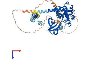 STK3 Protein (AA 1-497) (His tag)