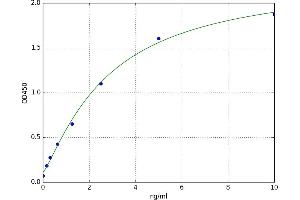 UDP Glucuronosyltransferase 1 Family, Polypeptide A1 (UGT1A1) ELISA Kit
