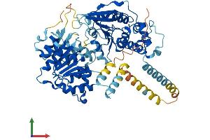 AlphaFold protein structure predicition of Mouse Recombinant Ddx55 Protein, UniprotID Q6ZPL9 (DDX55 Protein (AA 1-600) (His tag))