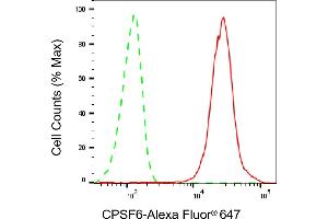 Flow cytometric analysis of CPSF6 expression in HepG2 cells using CPSF6 antibody (ABIN7798097), 1:2,000). (Recombinant CPSF6 antibody)