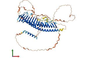AlphaFold protein structure predicition of Human Recombinant JPH4 Protein, UniprotID Q96JJ6 (Junctophilin 4 Protein (JPH4) (AA 1-628) (His tag))