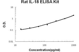 Rat IL-18 Accusignal ELISA Kit Rat IL-18 AccuSignal ELISA Kit standard curve.