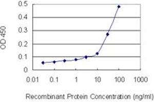 ELISA image for anti-Lamin B1 (LMNB1) (AA 107-186) antibody (ABIN517542)