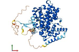 Protein Structure (PS) image for Sestrin 1 (SESN1) (AA 1-492) protein (His tag) (ABIN7545996)