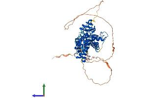 AlphaFold protein structure predicition of Mouse Recombinant Rorc Protein, UniprotID P51450 (RORC Protein (AA 1-516) (His tag))