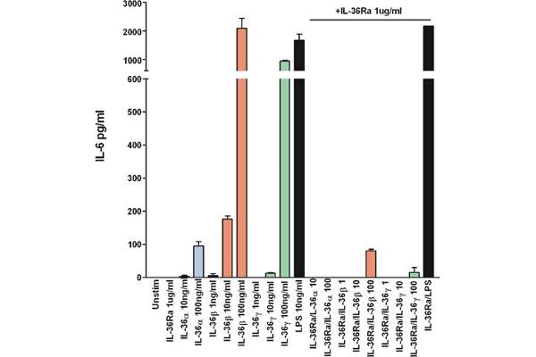 FIL1d Protein