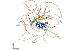 Protein Structure (PS) image for Bromo Adjacent Homology Domain Containing 1 (BAHD1) (AA 1-780) protein (His tag) (ABIN7552694)