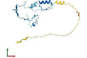 AlphaFold protein structure predicition of Human Recombinant CFAP126 Protein, UniprotID Q5VTH2 (CFAP126 Protein (AA 1-177) (His tag))