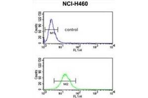 Flow Cytometry (FACS) image for anti-Neural Precursor Cell Expressed, Developmentally Down-Regulated 4, E3 Ubiquitin Protein Ligase (NEDD4) antibody (ABIN2971025)