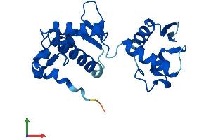 AlphaFold protein structure predicition of Human Recombinant VPS25 Protein, UniprotID Q9BRG1