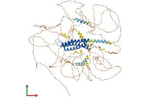 AlphaFold protein structure predicition of Mouse Recombinant Dlgap1 Protein, UniprotID Q9D415