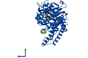 AlphaFold protein structure predicition of Mouse Recombinant Cyp2b9 Protein, UniprotID P12790 (Cyp2b9 Protein (AA 1-491) (His tag))