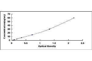 Typical standard curve (CLEC11A ELISA Kit)