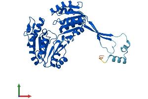 AlphaFold protein structure predicition of Human Recombinant ALDH3B2 Protein, UniprotID P48448 (ALDH3B2 Protein (AA 1-385) (His tag))