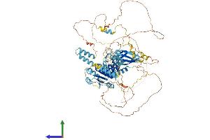 AlphaFold protein structure predicition of Mouse Recombinant Bank1 Protein, UniprotID Q80VH0 (BANK1 Protein (AA 1-783) (His tag))