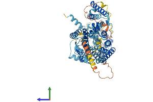 AlphaFold protein structure predicition of Mouse Recombinant Slc7a2 Protein, UniprotID P18581