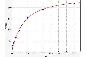 Typical standard curve (P4HA1 ELISA Kit)