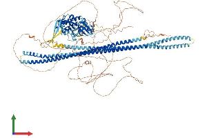 AlphaFold protein structure predicition of Mouse Recombinant Slk Protein, UniprotID O54988