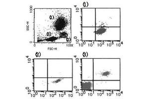 Flow Cytometry (FACS) image for anti-Cytochrome B-245, alpha Polypeptide (CYBA) antibody (ABIN1449193) (CYBA antibody)