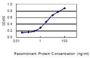 Detection limit for recombinant GST tagged IKIP is 0. (IKbIP antibody  (AA 1-377))