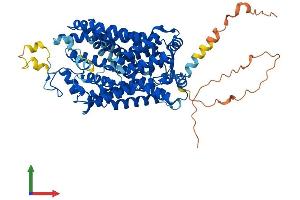Protein Structure (PS) image for Solute Carrier Family 6 (Neurotransmitter Transporter, Creatine), Member 8 (SLC6A8) (AA 1-635) protein (His tag) (ABIN7551729)