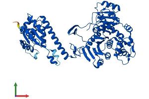 AlphaFold protein structure predicition of Mouse Recombinant Atic Protein, UniprotID Q9CWJ9 (ATIC Protein (AA 1-592) (His tag))