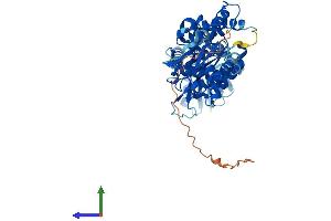 AlphaFold protein structure predicition of Human Recombinant MDH1B Protein, UniprotID Q5I0G3