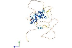 Protein Structure (PS) image for Paired Box Gene 2a (PAX2A) (AA 1-417) protein (His tag) (ABIN7550554)