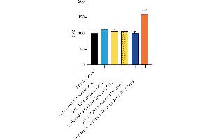 Image no. 6 for Synuclein, alpha (SNCA) (Ala53Thr-Mutant) (Active) protein (ABIN6952303)