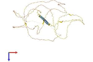 Hemogen (HEMGN) (AA 1-484) protein (His tag)