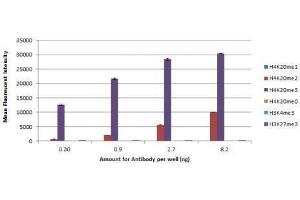 Histone H4K20me3 antibody (rAb) tested by Luminex bead-based specificity analysis.