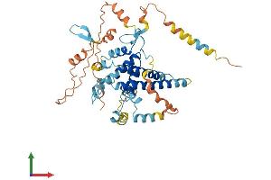 AlphaFold protein structure predicition of Human Recombinant PPP1R36 Protein, UniprotID Q96LQ0