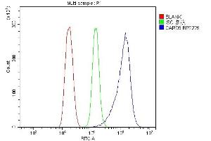Flow Cytometry analysis of HEPA1-6 cells using anti-CARD9 antibody (ABIN7599386). (CARD9 antibody  (AA 1-429))