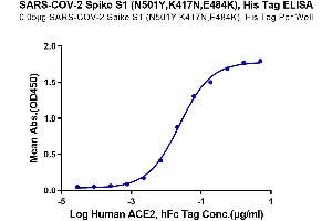 Immobilized SARS-COV-2 Spike S1 (N501Y,K417N,E484K) , His Tag at 0. (SARS-CoV-2 Spike S1 Protein (E484K, K417N, N501Y) (His tag))