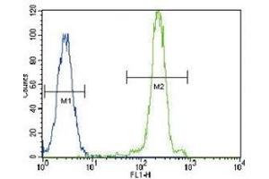 LPL antibody flow cytometric analysis of HeLa cells (green) compared to a negative control (blue). (Lipoprotein Lipase antibody  (AA 300-327))
