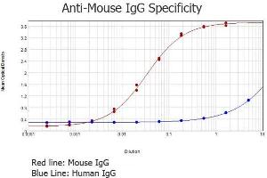 ELISA results of purified Rabbit anti-Mouse IgG Antibody (min x Human Serum Proteins) tested against purified Mouse IgG.